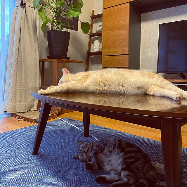 hiyupan88さんの実例写真