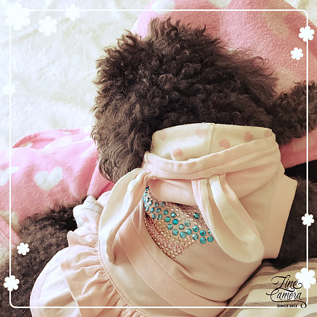 makkoさんの実例写真