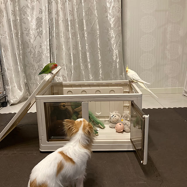 toratanさんの部屋
