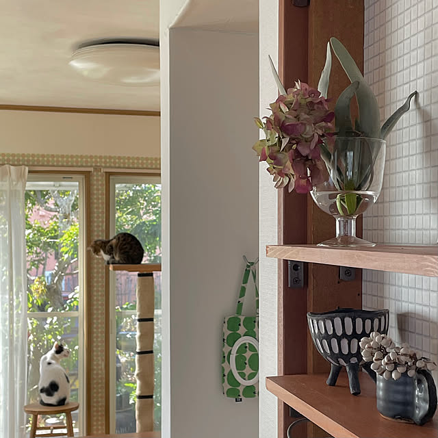 nobikoさんの実例写真