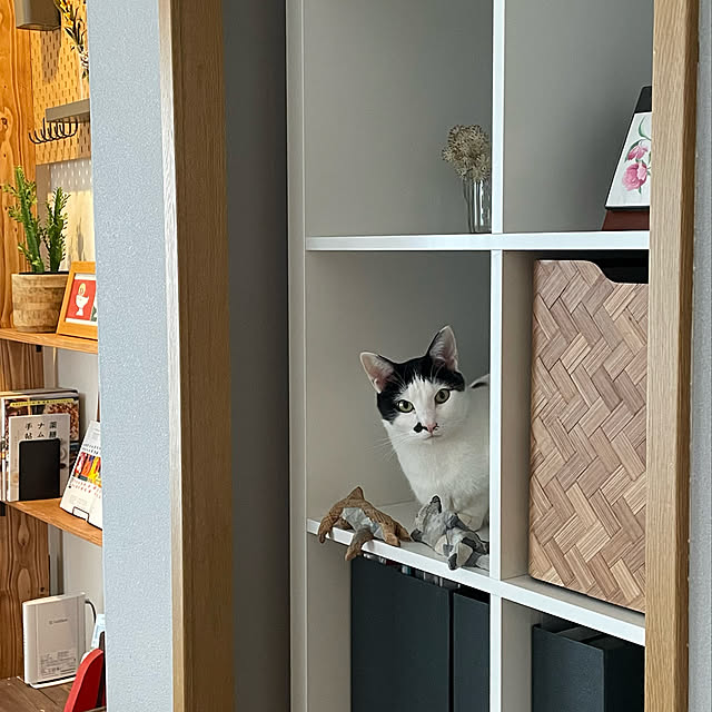 nobikoさんの実例写真