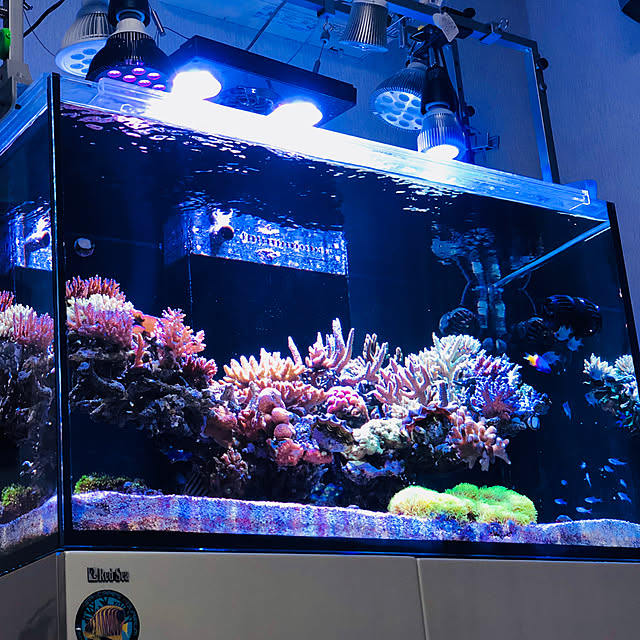 aquarium_seaさんの実例写真