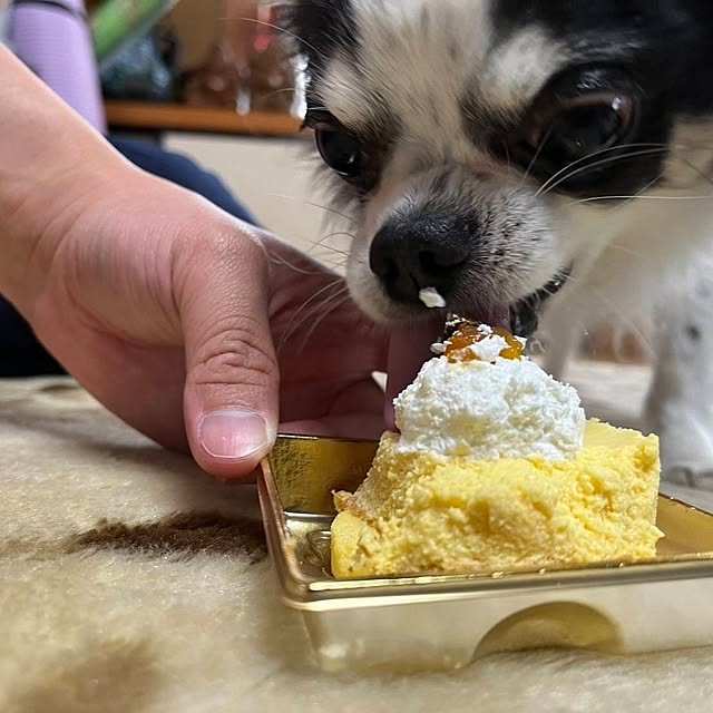 minnieさんの部屋