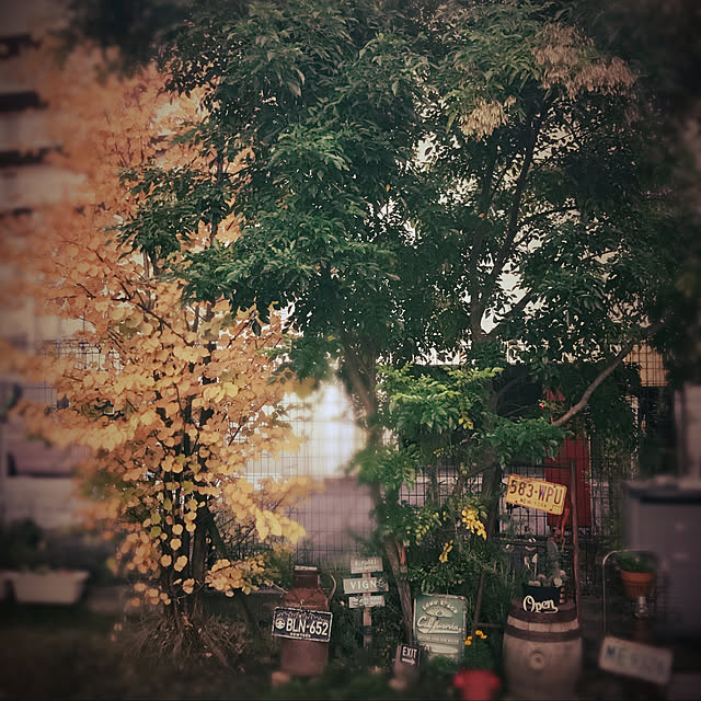 michi-michi39さんの実例写真