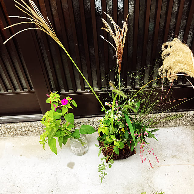 neko-2.2.2runmuさんの実例写真