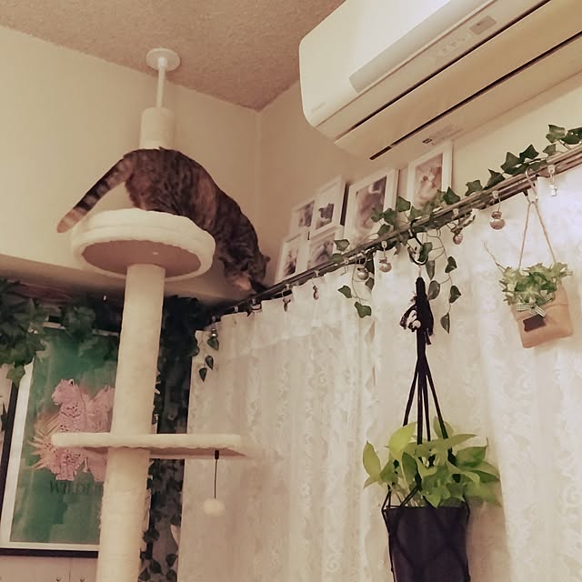 runaさんの部屋