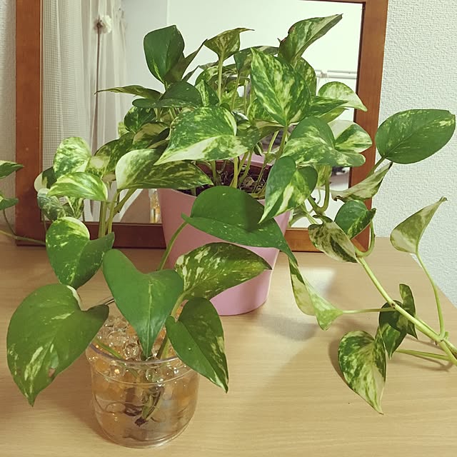 richさんの実例写真