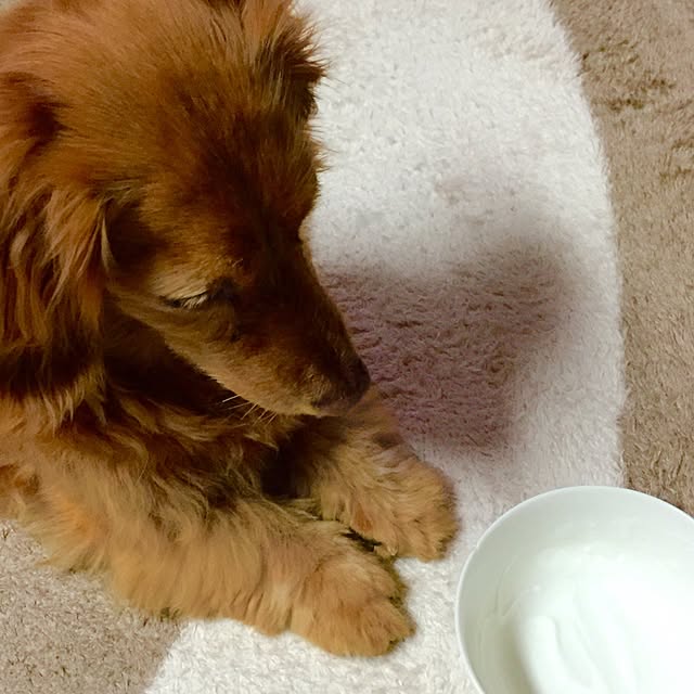 sakuさんの実例写真