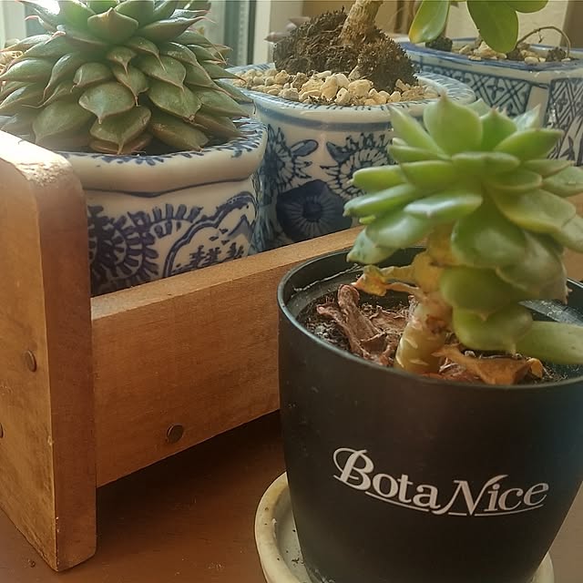 Rさんの部屋