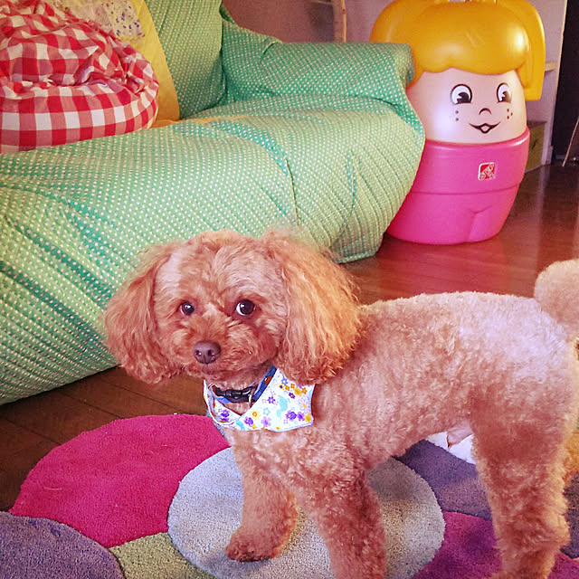 cherrycherryさんの実例写真