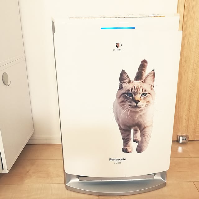 momoさんの実例写真