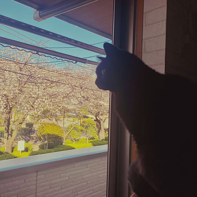 iiiyocoiiiさんの部屋