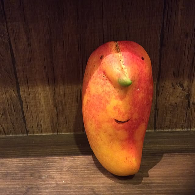 lamerさんの実例写真
