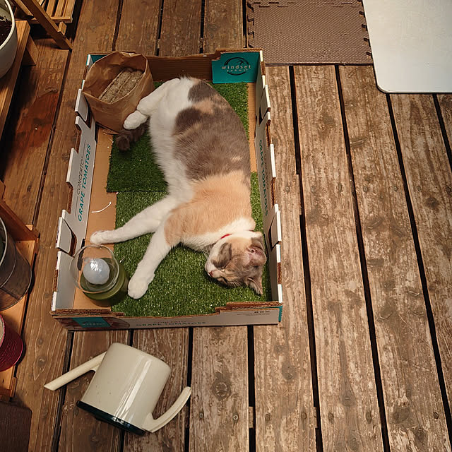 fukuさんの実例写真
