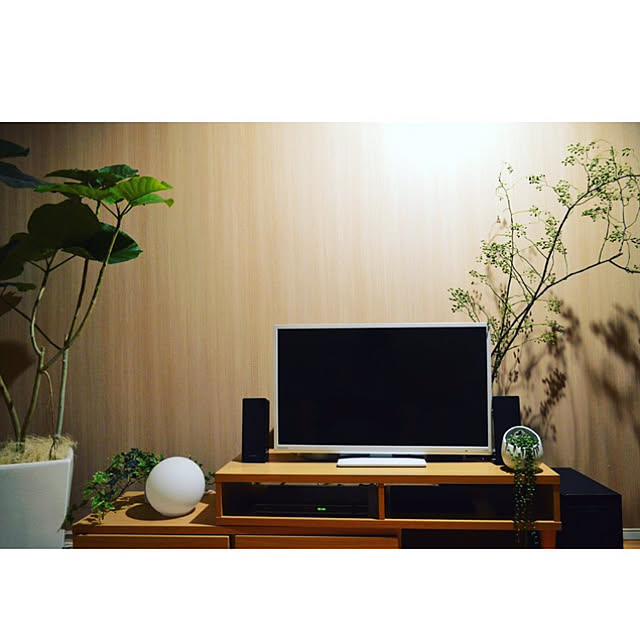 kossstさんの実例写真