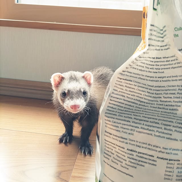 chokocreamさんの実例写真
