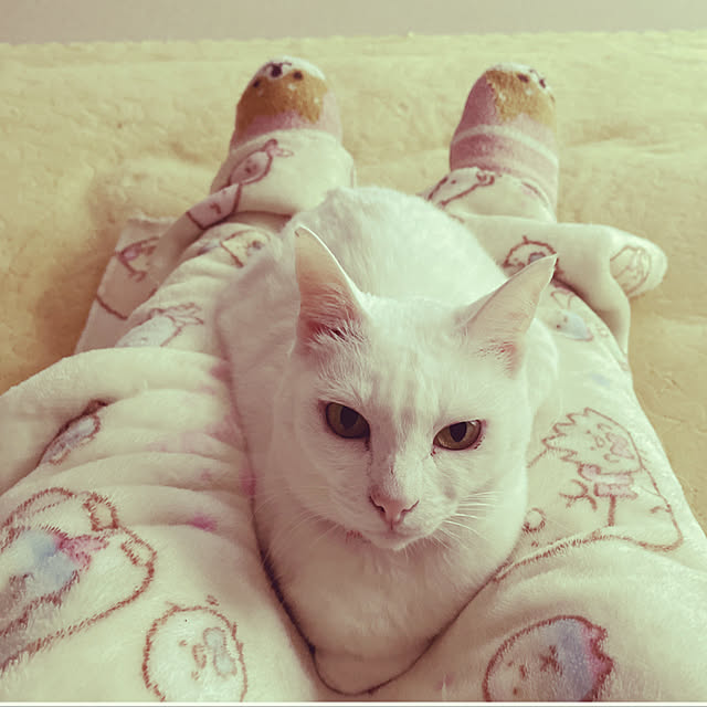Maiさんの実例写真