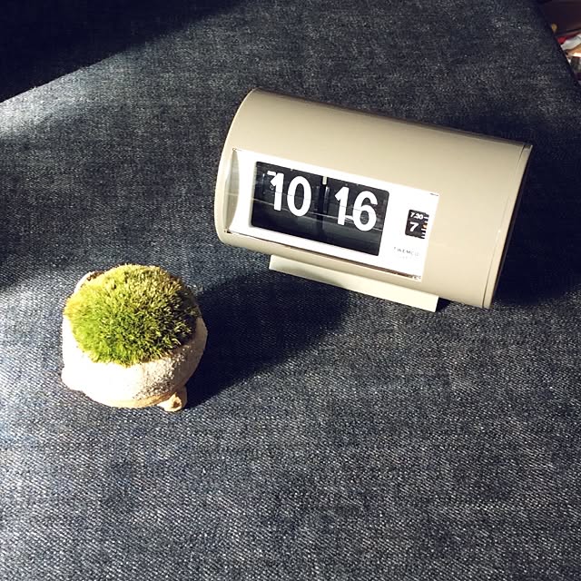 QDさんの実例写真