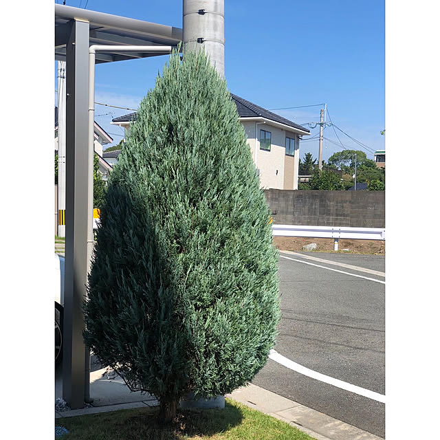 nono.0129さんの実例写真