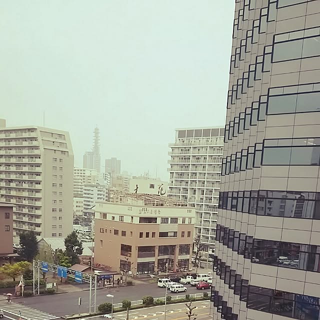 panchobiさんの実例写真