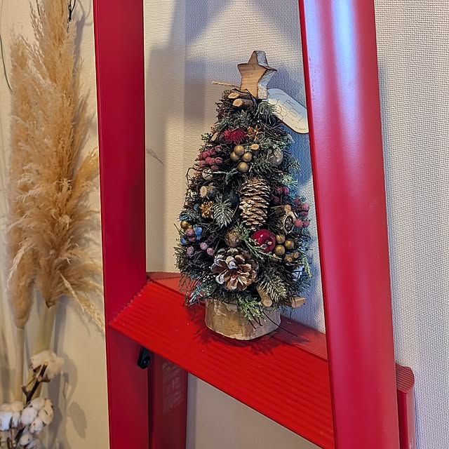 necoさんの部屋