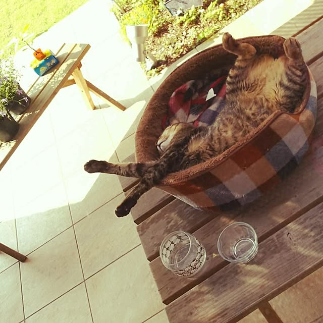 Y.Gさんの実例写真