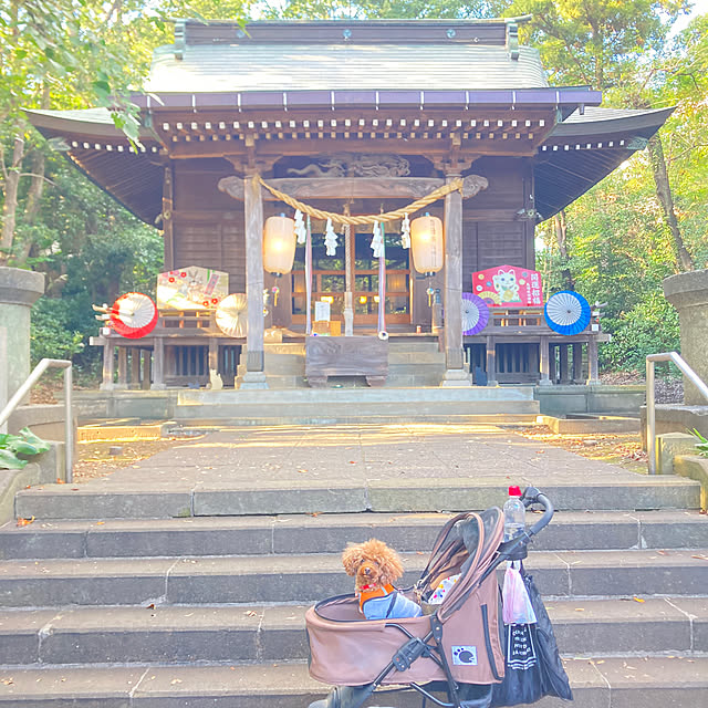 MOMOMAMAさんの部屋