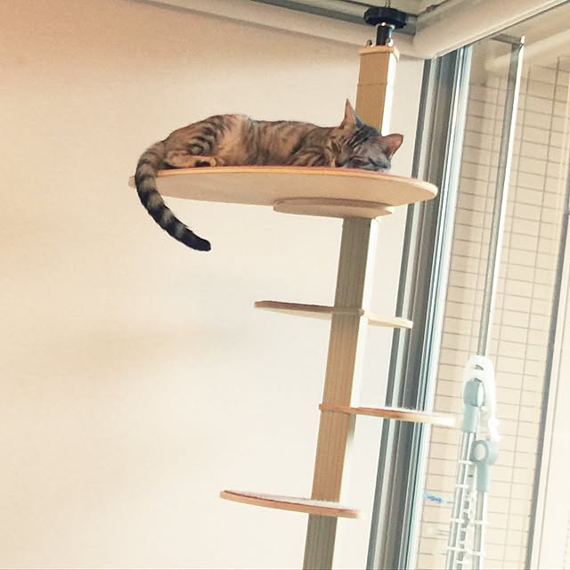 canal108yyさんの実例写真