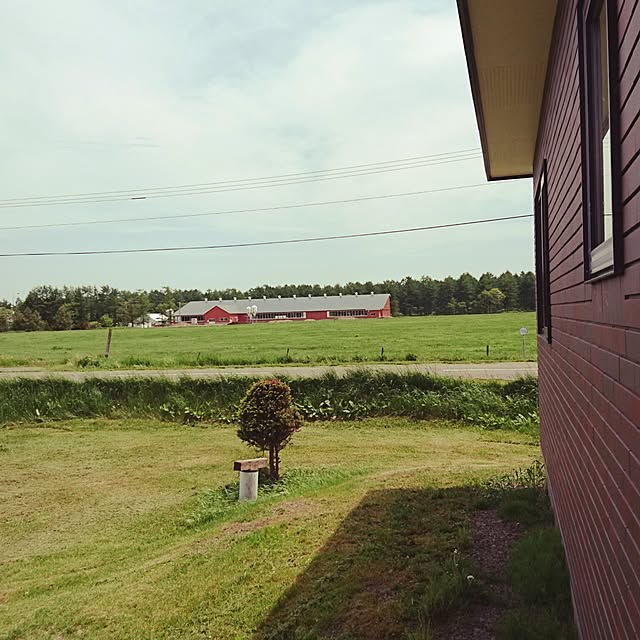 chanさんの実例写真