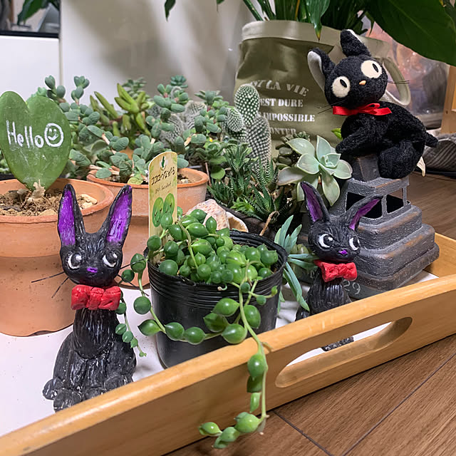 Aqettyさんの部屋