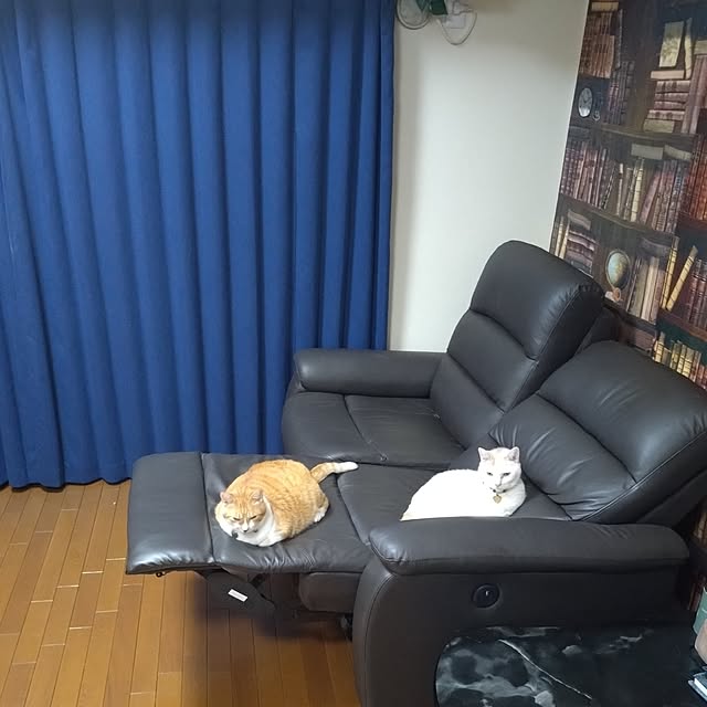 NOAHさんの部屋