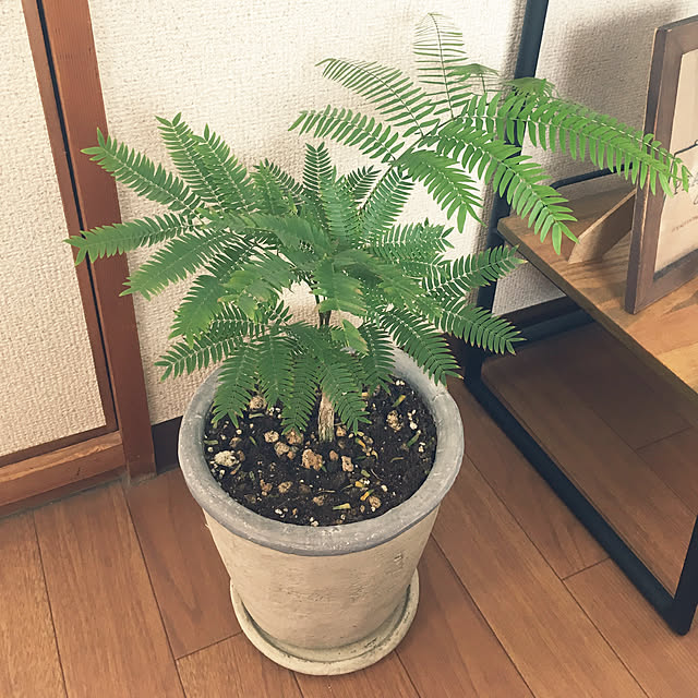 naoさんの実例写真
