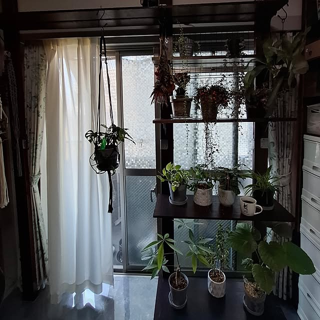 noaさんの部屋