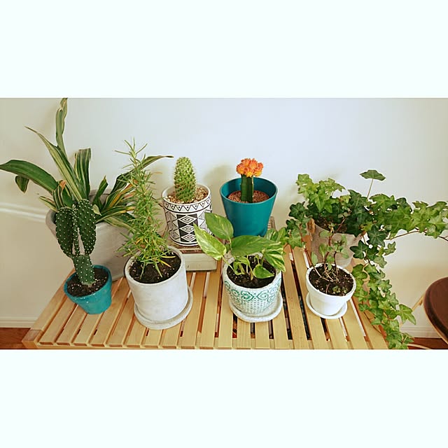 yukachaaan420さんの実例写真