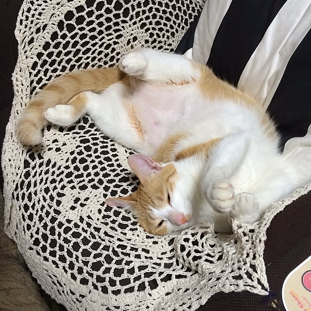 gl00my7さんの実例写真