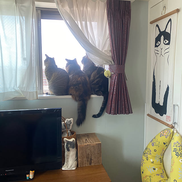 mikomaruさんの実例写真