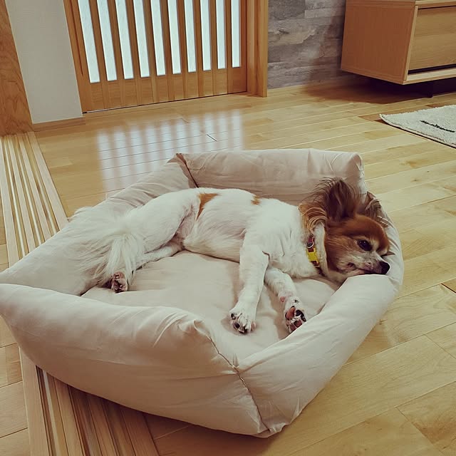 merumamaさんの部屋