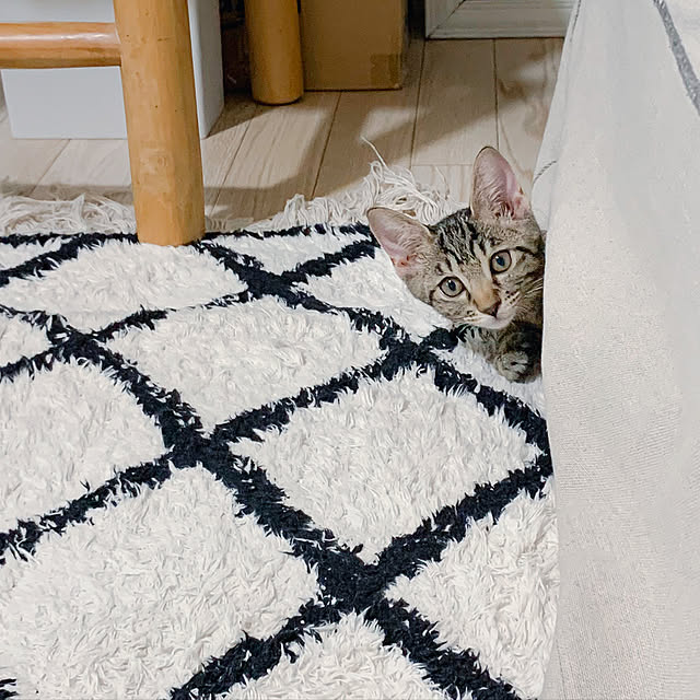 oliveさんの実例写真