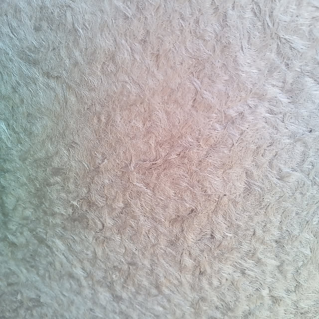 tapuchinさんの実例写真