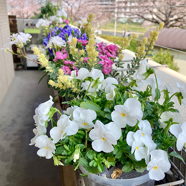 marukoさんの部屋