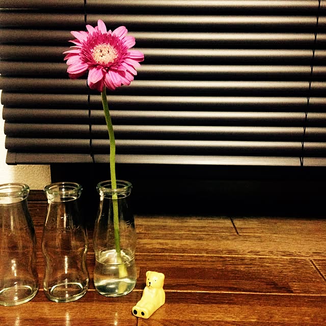 hana0317さんの実例写真