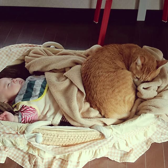 kazuyonさんの実例写真