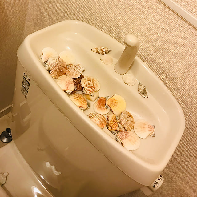 karincolinさんの実例写真
