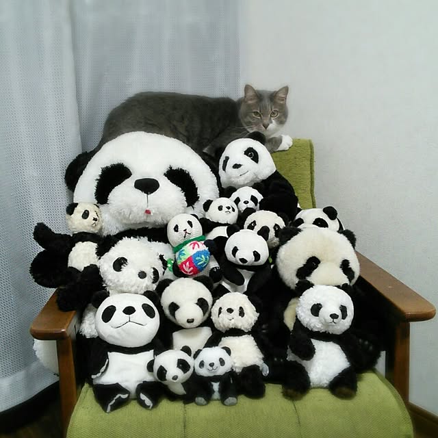 lovepandaさんの実例写真