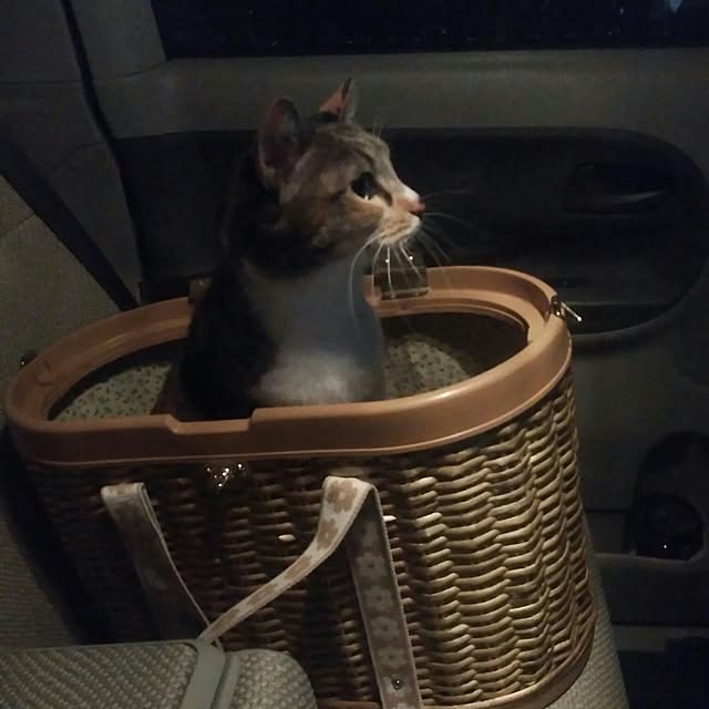 tomo1220さんの実例写真