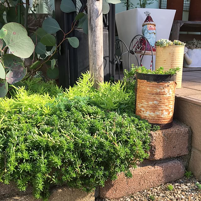 yukkaさんの実例写真