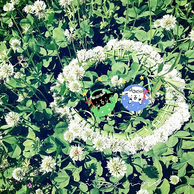 moco-mocoさんの実例写真