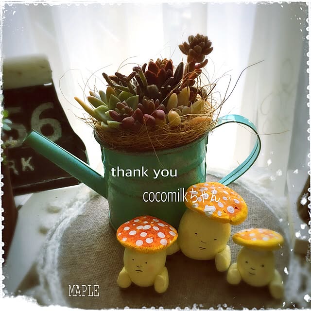 mapleさんの実例写真