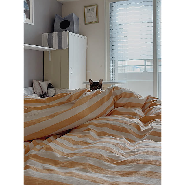 oliveさんの実例写真