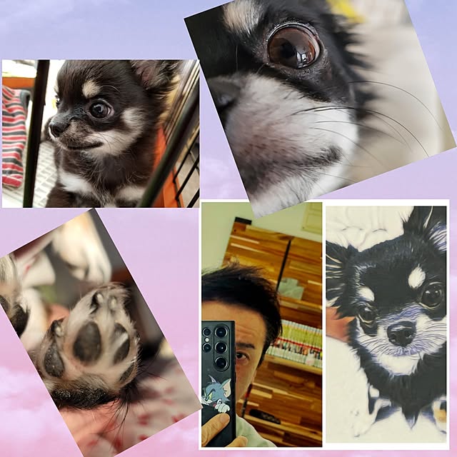 sinさんの部屋